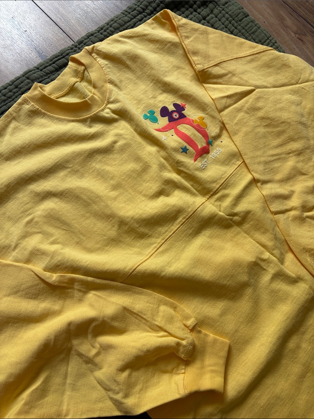 Disney Spirit Jersey